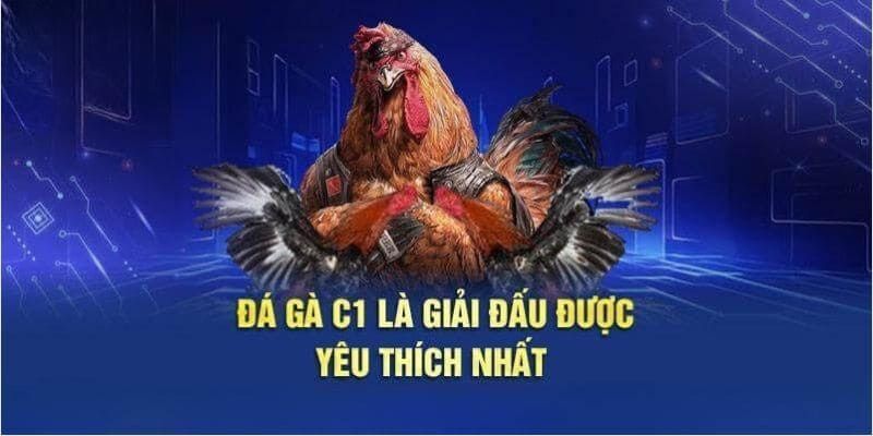 Chơi cá cược đá gà cúp C1 tại sảnh nhà cái 77win