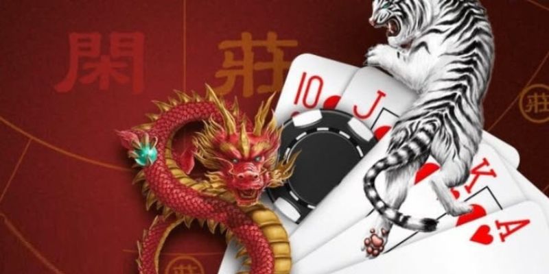 Chinh phục rồng hổ 77win hiệu quả 